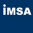 IMSA International Executive Search.